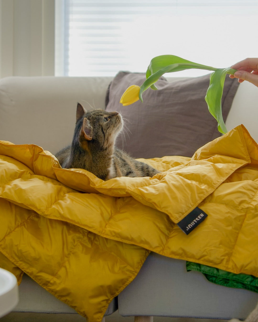 Kulkuri-untuvatorkkupeitto mango