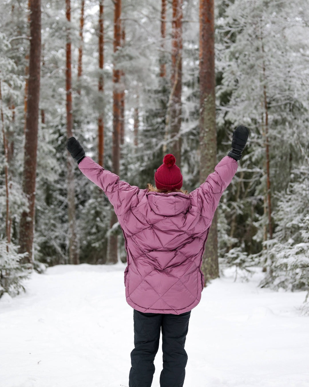 Velho-untuva-anorakki orkidea