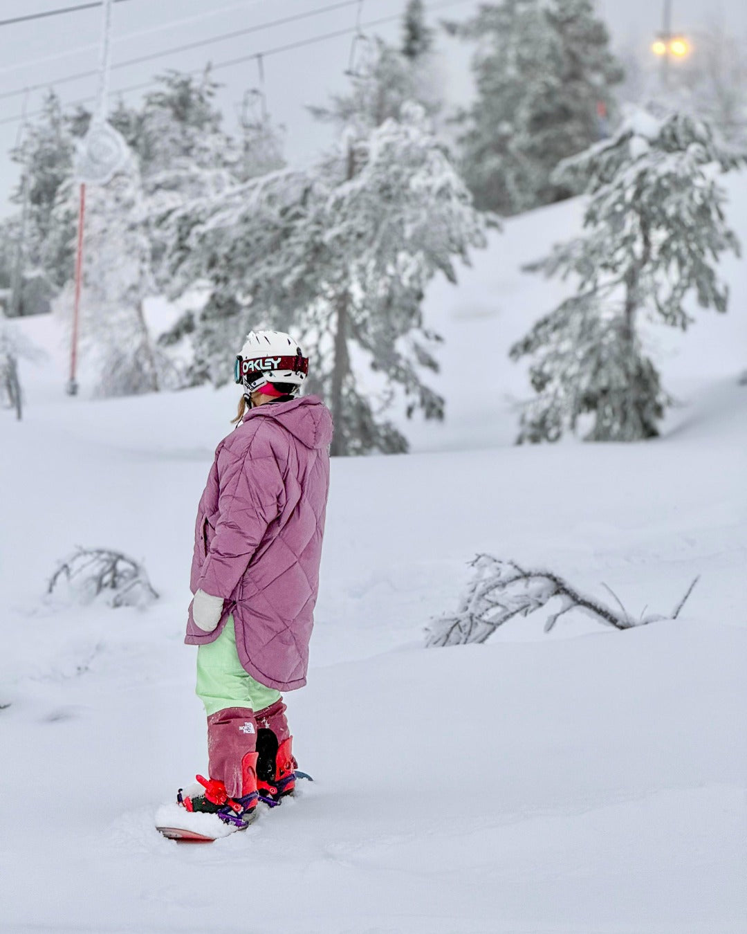 Velho-untuva-anorakki orkidea
